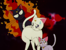 Screenshot from Sailor Moon episode 133