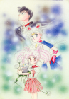 Title page art for Pretty Guardian Sailor Moon chapter 19