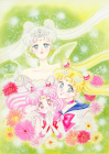 Title page art for Pretty Guardian Sailor Moon chapter 26